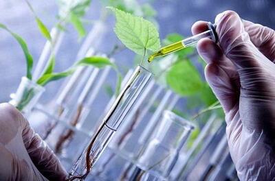 Life Science Tools Market Share, Key Players, and Outlook