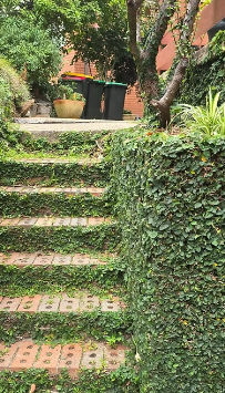 Garden Maintenance in Turramurra Made Simple for Homeowners