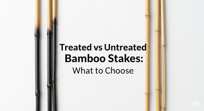 Treated vs Untreated Bamboo Stakes: What to Choose